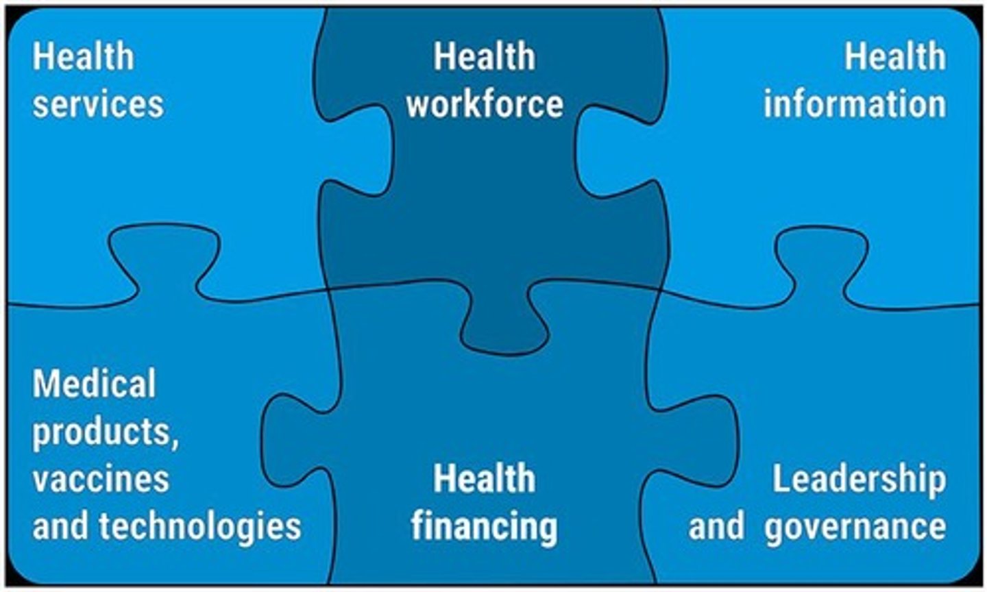 <p>The roles of WHO to assist its member countries to strengthen their health system, which include workforce, service delivery, information systems, medical products, financing, and governance.</p>