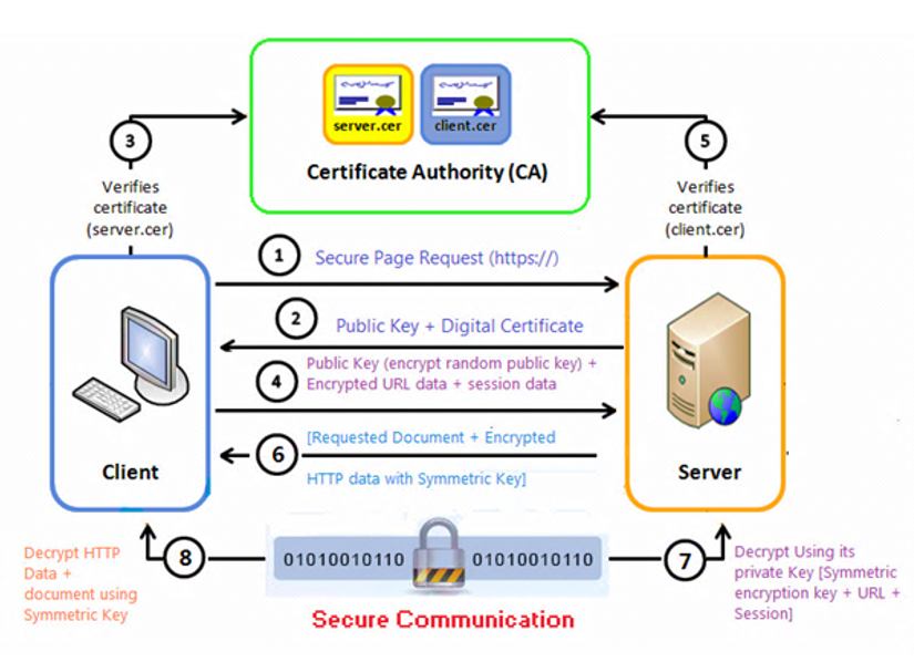 <ol><li><p>Client requests secure connection (HTTPS)</p></li><li><p>Server sends digital certificate</p></li><li><p>Client verifies server’s certificate (via CA)</p></li><li><p>Client sends session data encrypted with server’s public key</p></li><li><p>Server optionally verifies <strong>client's certificate</strong></p></li><li><p>Server sends encrypted content using symmetric key</p></li><li><p>Client decrypts using shared symmetric key</p></li><li><p>Secure, encrypted communication begins</p></li></ol><p></p>