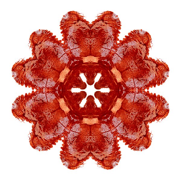 term image
