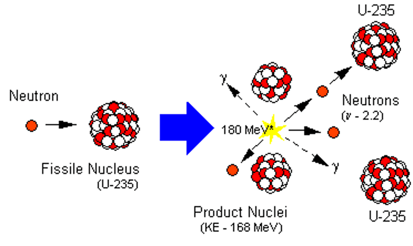 <p>The splitting of an atomic nucleus with neutrons in order to release energy. The energy given off can be used to heat water into steam, to turn a turbine and power an electric generator.</p>