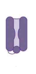 <p><span>This image shows a _______ channel</span></p>