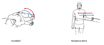 <p>These 2 isotonic exercises are called what?</p>