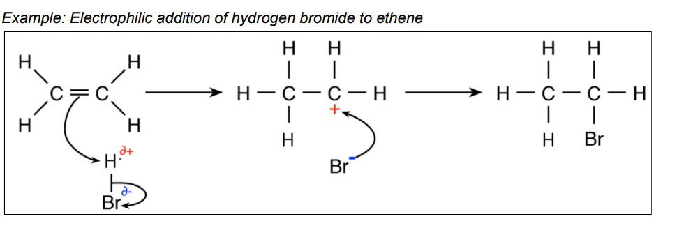 <ul><li><p>alkenes react w electrophiles and undergo electrophilic adddition about the double bond</p></li><li><p>electrophiles are electron acceptors that are attracted to areas of high electron density e.g HBr, Br<sub>2</sub></p></li><li><p>halogen(Br<sub>2</sub>) + alkene=dihalogenoalkene</p></li><li><p>electrophillic addition is the reaction mechanism that shows how electrophiles attack the double bond in alkenes. When the double bond is broken, a carbocation forms-a carbon atom w only 3 bonds and has a + charge</p></li><li><p>when the double bond breaks, the atom goes to the carbon which already has the most hydrogens connected to it in the chain</p></li><li><p>curly arrows are used in mechanism to show the movement of a pair of electrons</p></li></ul><p></p>
