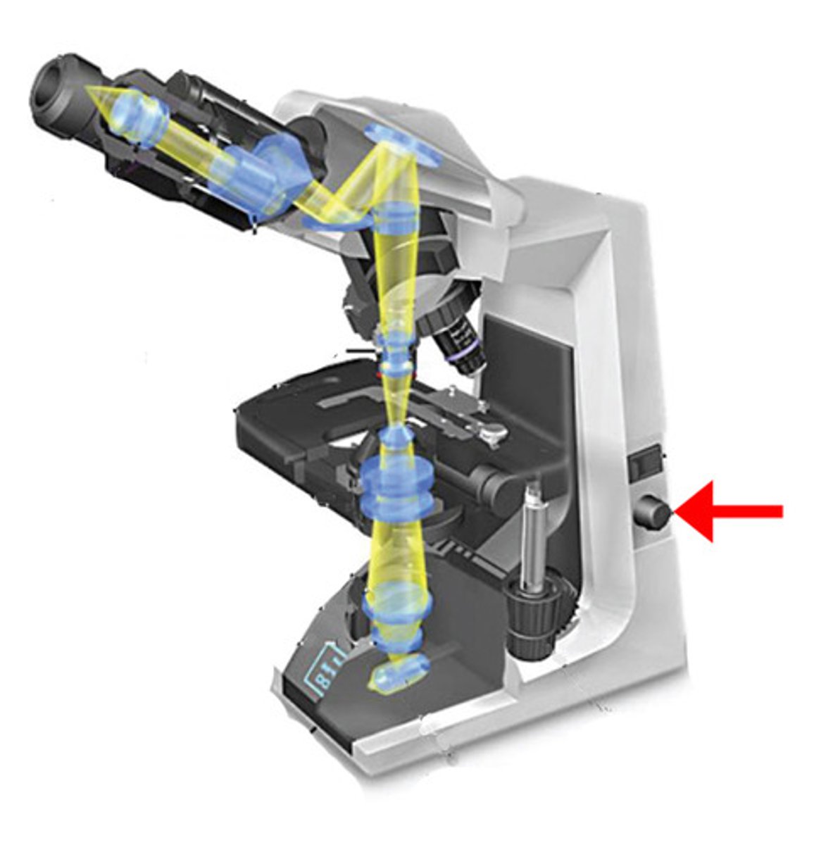 <p>dial that adjusts the light intensity allowed through the condenser on to the specimen.</p>