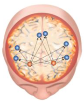 <ul><li><p>greater activation <strong>for beats</strong></p></li><li><p>greater connectivity <strong>for beats</strong></p></li></ul><p></p>