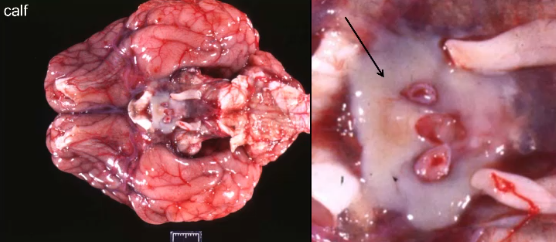 <p>what is this?</p>