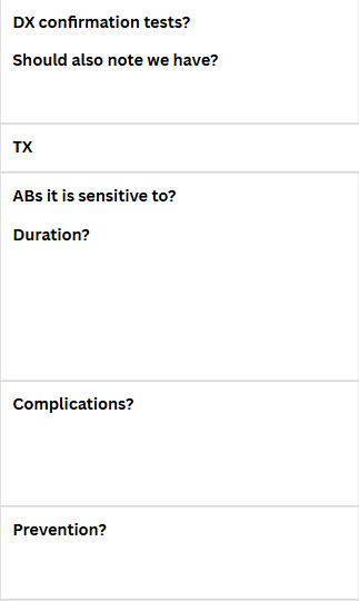 <p>BACTERIAL PNEUMONIA IN OLDER FOALS - Zooepi</p>