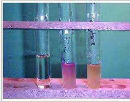<ul><li><p>complex</p></li><li><p>detects indole with Kovac’s reagent</p></li><li><p>tryptophanase present; fermentation</p></li><li><p>positive: cherry red, E. Coli</p></li><li><p>negative: no color change, E. aerogenes</p></li></ul><p></p>