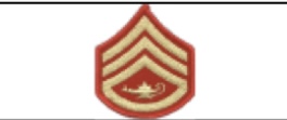 <p>3 Chevrons, 1 Rocker &amp; Lamp of Learning </p>