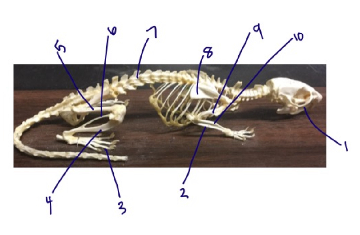 <p>7</p>