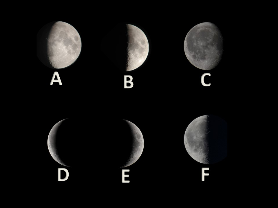 <p><span style="background-color: transparent;"><span>Which letter shows a waning crescent moon?</span></span></p>