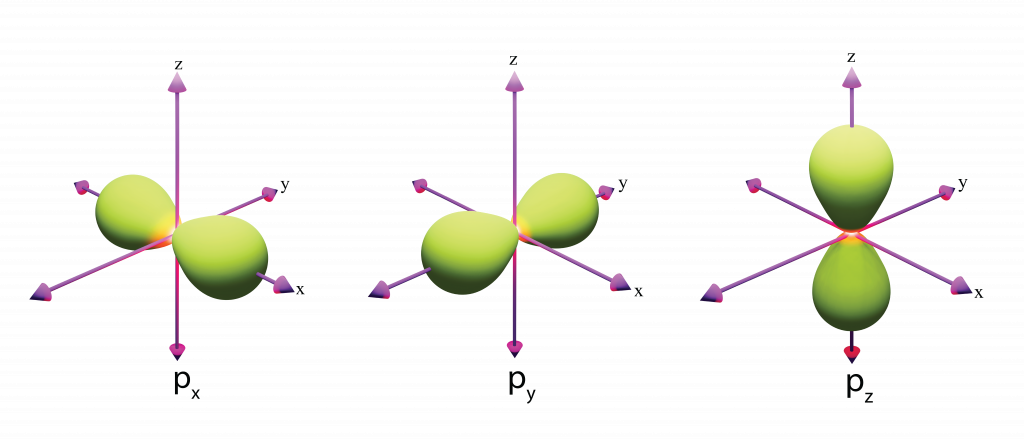 <p>P orbitals</p>