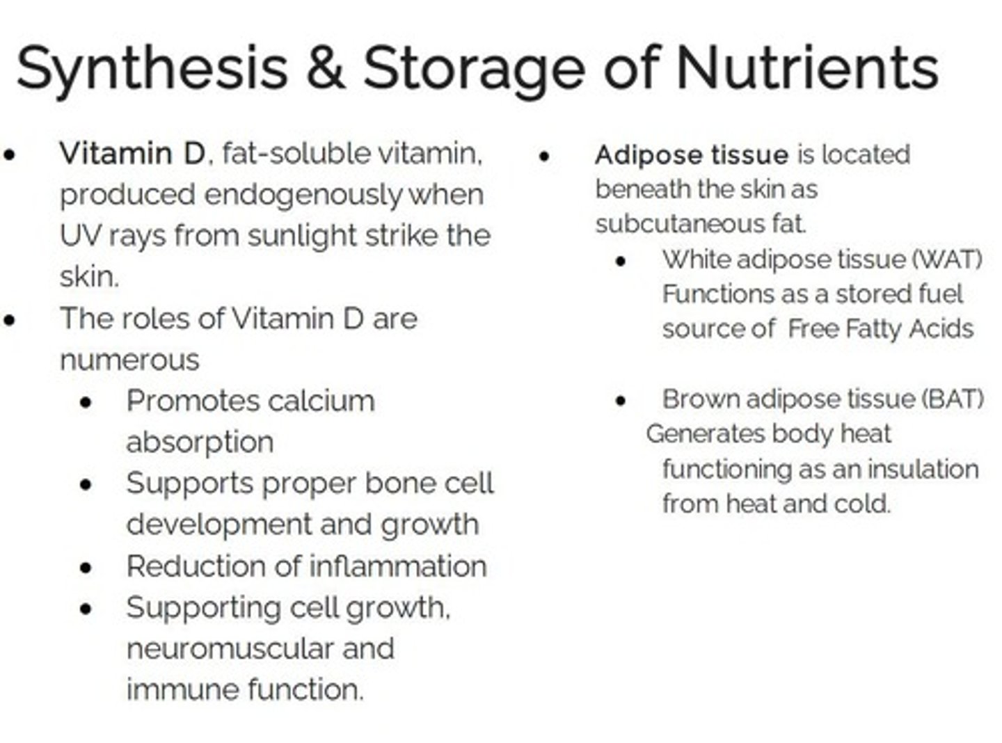 <p>The skin's ability to produce Vitamin D, which decreases with age, placing individuals at risk for skeletal injury and depression.</p>