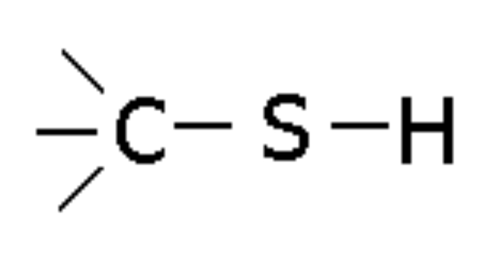 <p>Compound with -SH group, named thiol (e.g., Methyl thiol)</p>