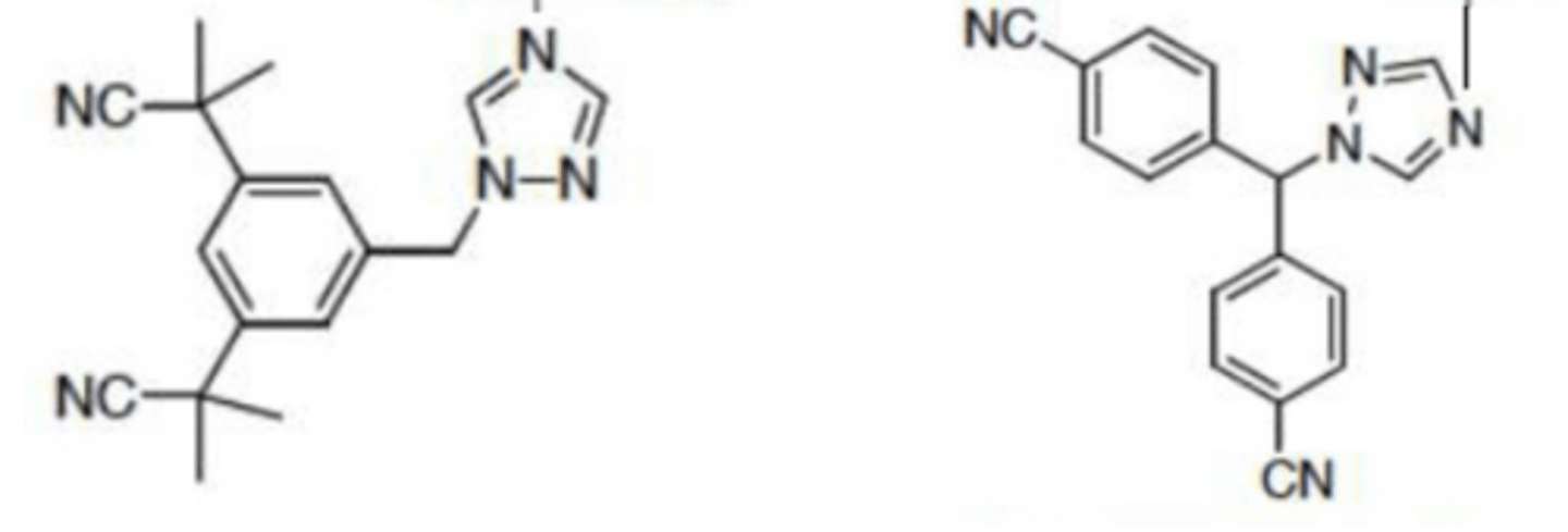 <p>Recognize Anastrozole and Letrozole by their ___ rings</p>