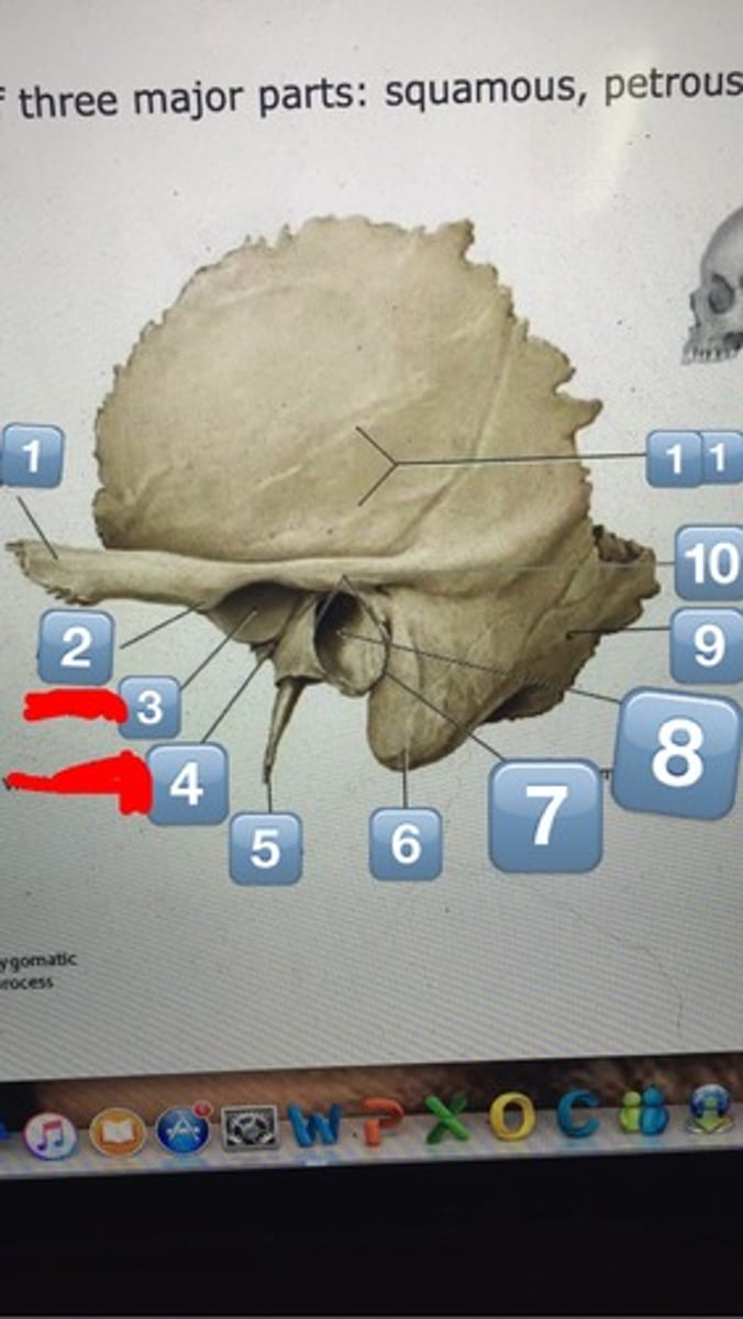 <p>Name the following numbers:</p><p>1, 3, 5-6, 8, 11</p>