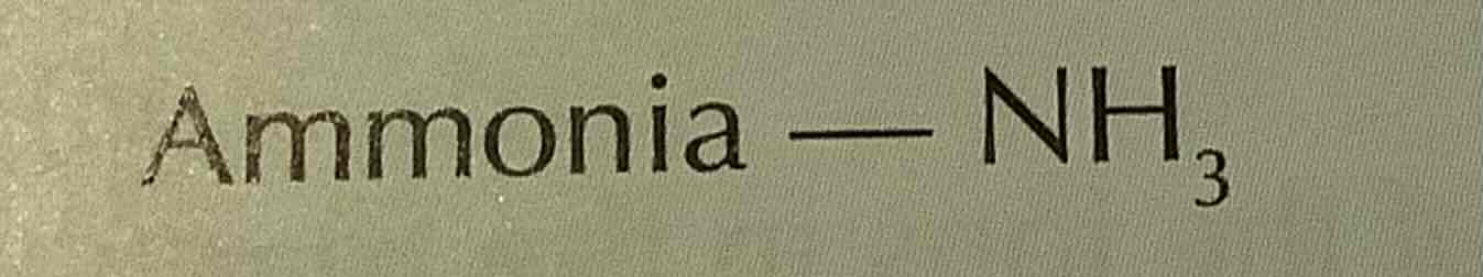 <p>NH3</p>