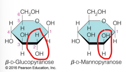 <p>epimers (2 sugars that<span><strong> differ in configuration at only one chiral</strong></span> center)</p>