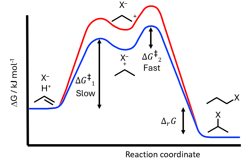 <ul><li><p>Alkene and hydrohalic acid are reactants</p></li><li><p>Forms the intermediate carbocation and retains halide anion - slow</p></li><li><p>Second barrier to form product</p></li></ul><p></p>