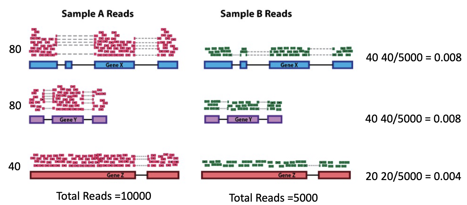 <p>RNA-seq </p><p>to compare between samples need to normalize read count for a gene to the total reads in the experiement </p>