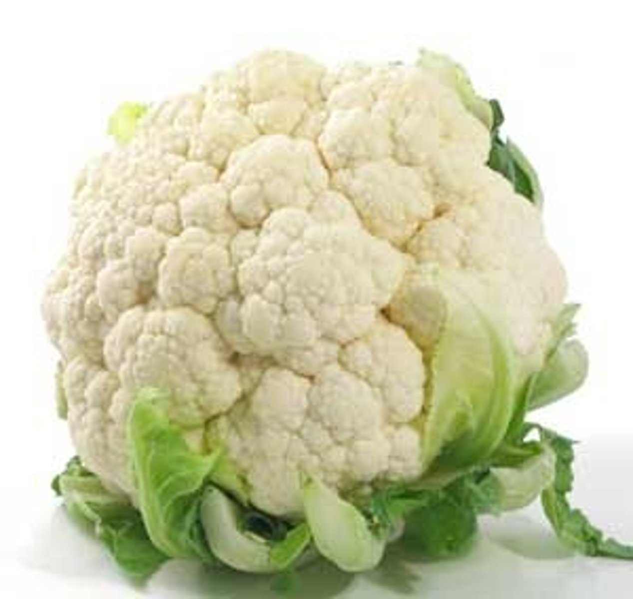 <p>cauliflower</p>