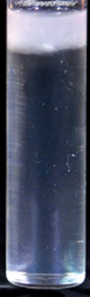 <p>What this Thioglycollate result tube indicates?</p><p>Growth only at the top of the tube</p>