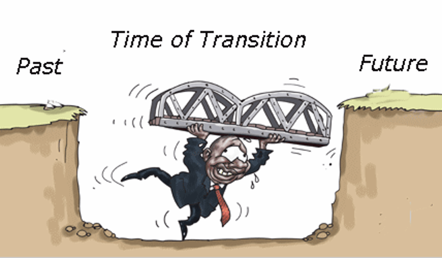 <p>Government set up to serve during the transition from a previous government.</p>