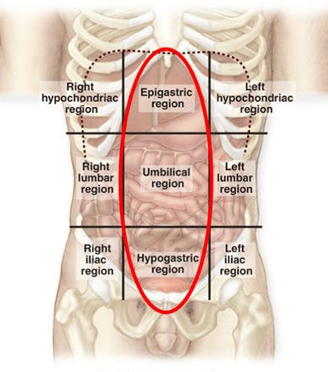 knowt flashcard image