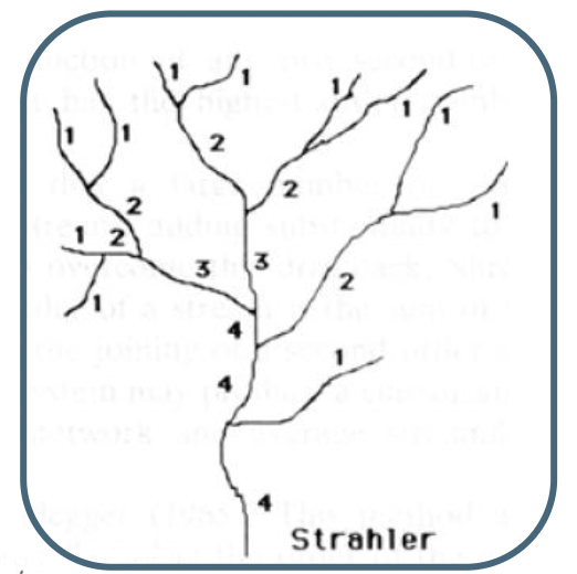<p><span style="font-size: calc(var(--scale-factor)*24.02px);">Perennial streams without</span><br><span style="font-size: calc(var(--scale-factor)*24.00px);">tributaries = 1</span><span style="font-size: calc(var(--scale-factor)*15.96px);">st </span><span style="font-size: calc(var(--scale-factor)*24.00px);">order</span></p><p><span style="font-size: calc(var(--scale-factor)*24.00px);">When two-streams of equal order</span><br><span style="font-size: calc(var(--scale-factor)*24.00px);">come together, the downstream</span><br><span style="font-size: calc(var(--scale-factor)*24.02px);">reach is increased one order</span></p>