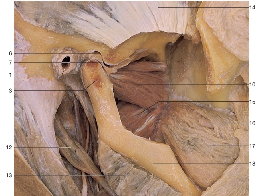 <p>14</p>