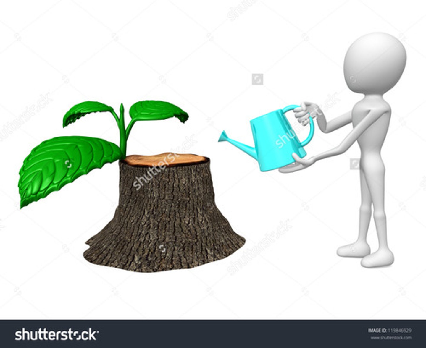 <p>làm sống lại</p>