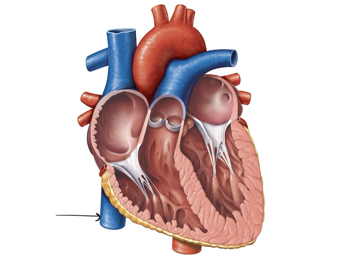 <p>Label and function</p>