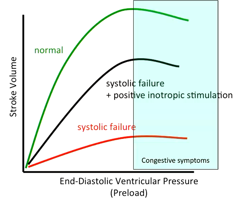 <p>What does this tell you?</p>