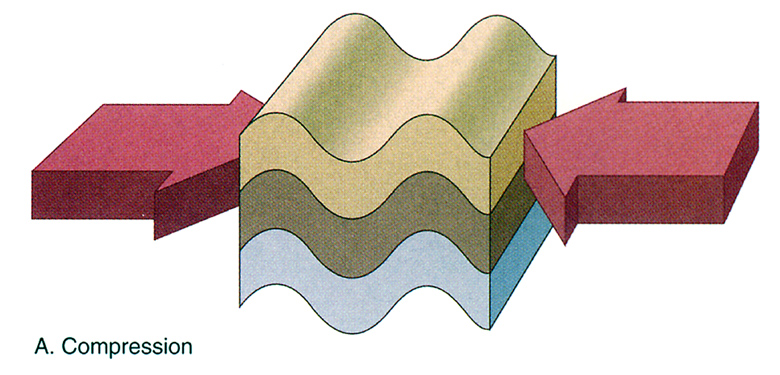 <ul><li><p><strong>Definition:</strong> Rock layers are pushed together, reducing volume and causing shortening.</p></li><li><p><strong>Associated Structures: Folds</strong> (e.g., anticlines, synclines), <strong>Reverse and Thrust Faults</strong></p></li><li><p><strong>Common Environments:</strong> Convergent plate boundaries (e.g., Himalayan Mountains).</p></li></ul><p></p>