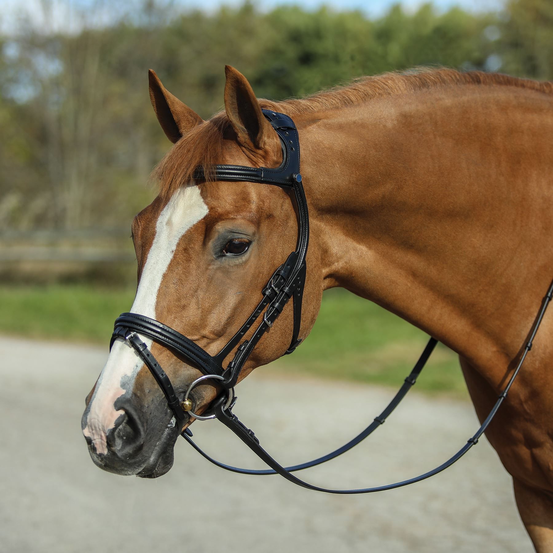 <p><span>Headgear to control a horse, used while riding to guide the horse where you want to go. It consists of various parts, including the bit and reins, and is essential for communication between the rider and the horse. </span></p>