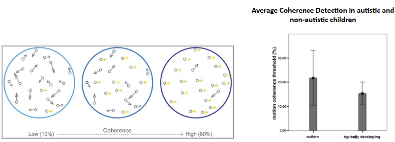 <p>reduced motion coherence discrimination→ means that more objects need to be moving cohesively for motion coherence to be detected in those with ASC</p><ul><li><p>those with autism have higher threshold for being able to detect it</p></li></ul><p></p>
