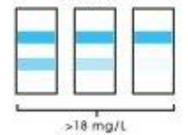 <p>Interpret microalbumin readings:</p><p><span>Darker top band (2nd band)</span></p>