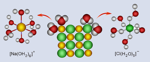 <p>hidratacijski omotač</p>