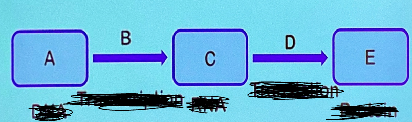 <p>What is D?</p>