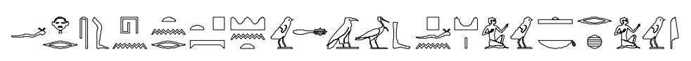 term image
