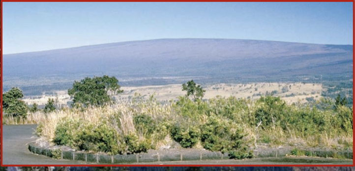 These are the largest volcanoes on Earth and are shaped as broad arcs (like warrior shields) built from lava.

\
They are associated with ==Basaltic magma== 

\
Eruptions are non-explosive and consists of gentle flows 