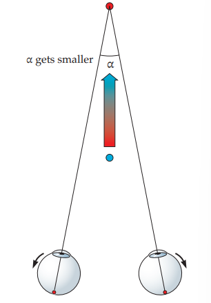 <p>ability of the two eyes to turn outward, often used in order to place the two images of a feature in the world on corresponding locations in the two retinal images (fovea)</p><p>reduces the disparity of that feature to zero </p>