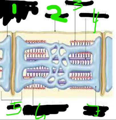 <p>4</p>