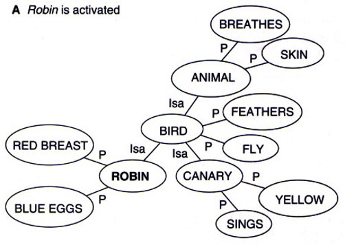 <p>A) The word “robin” is activated</p>