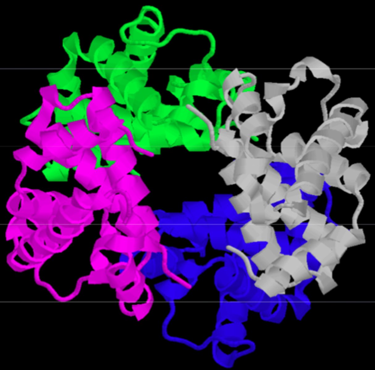 <p>- final functional form of a protein: the interaction of multiple subunits</p><p>- the final protein may be a repeat of a single polypeptide subunit or an assembly of different subunits</p>