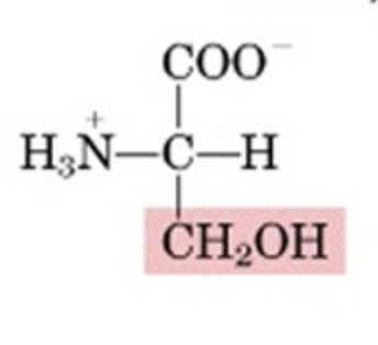 <p>What’s this aminoacid?</p>