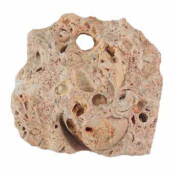 <p>What kind of rock is this?</p>