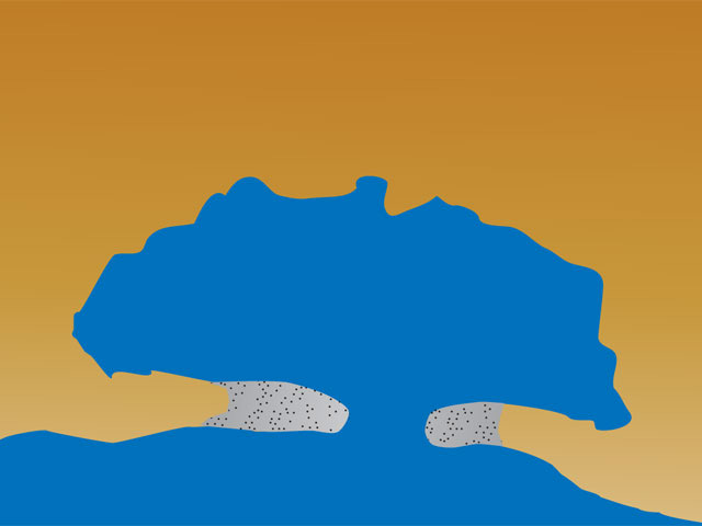 <p>nizka obala s plitvimi zatoki in zalivi - lagunami, ki ima majhno abrazijsko moč in močno akumulacijo, ni primerna za večje plovbe in ima poseljene zemeljske kose</p><p></p><p>npr. Benetke, obale Baltskega morja</p>