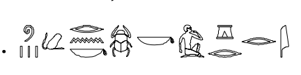 term image