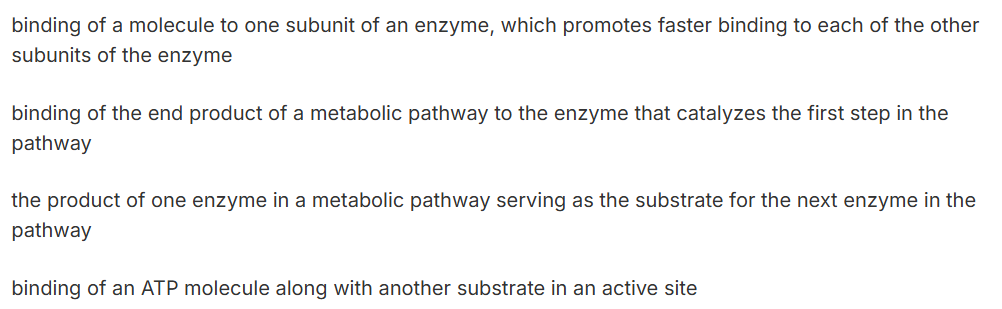 <p>Which statement below best describes cooperativity?</p>